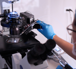 fertility clinic Miami Florida alternative Panama Fertility