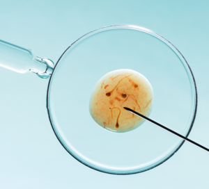 ivf cost comparison US vs Panama Fertility