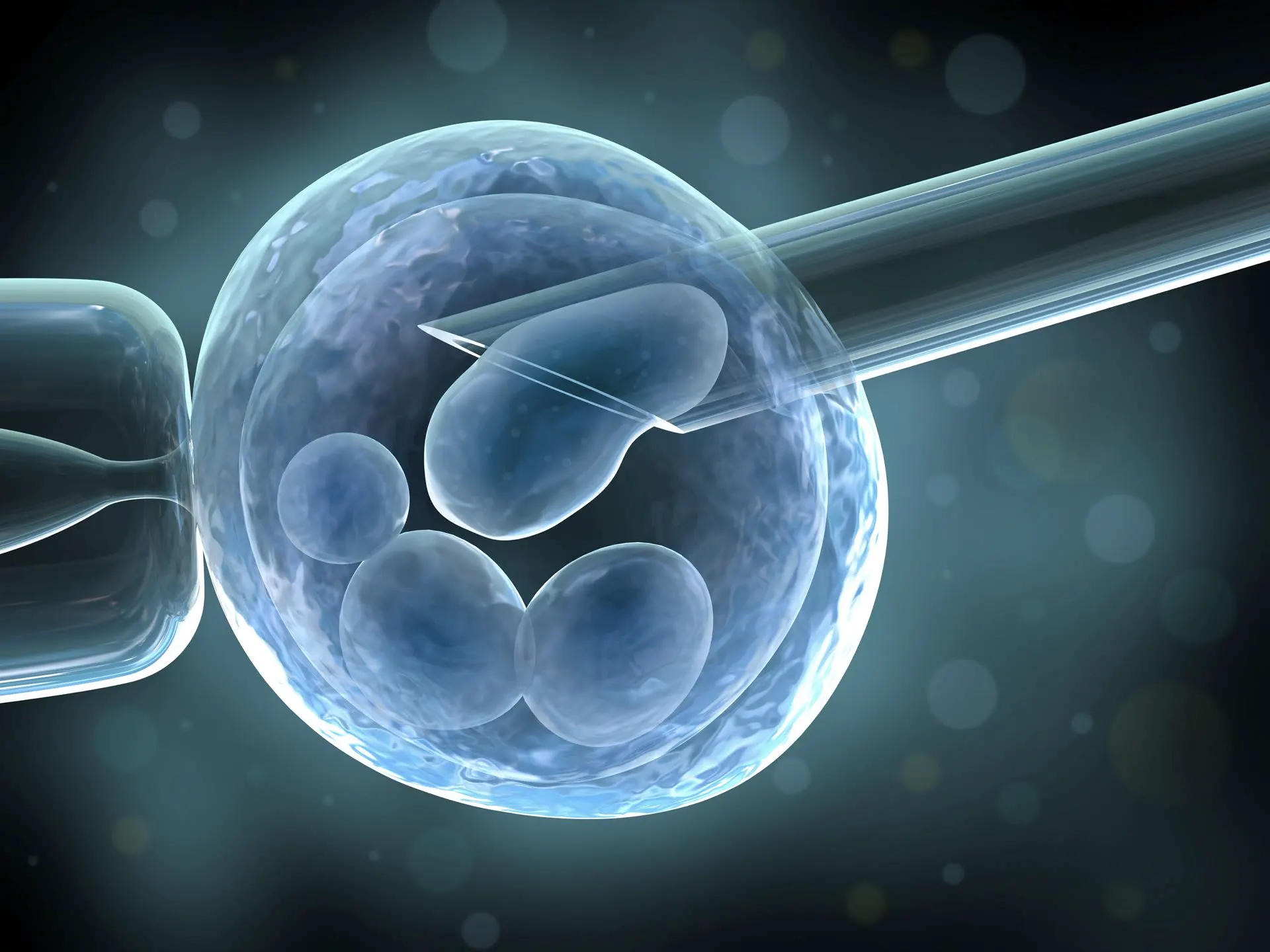 Pre-Implantation Genetic Testing (PGT), advanced screening for healthy embryos in IVF treatments.