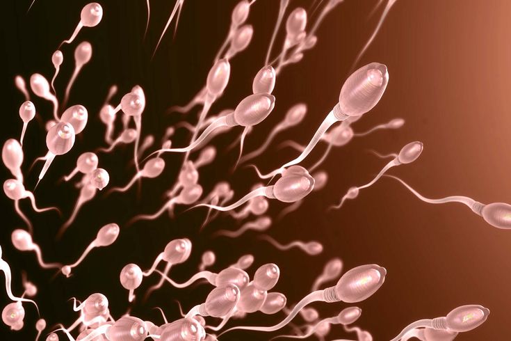 Fertility treatment for low sperm count, best clinic for male infertility