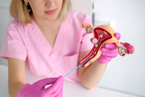 Fecundación: Qué es y Cómo Funciona