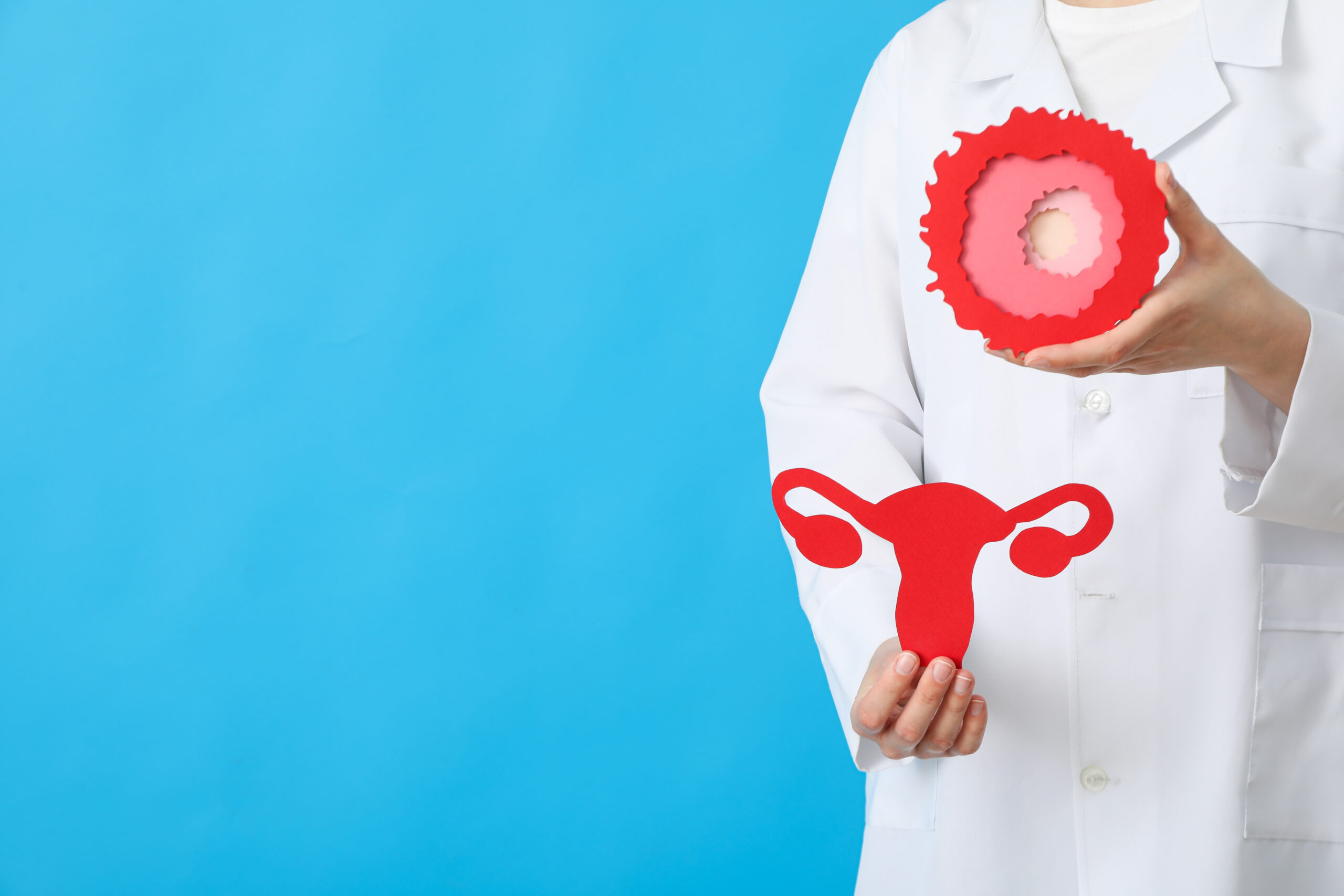 Significado de ovulo